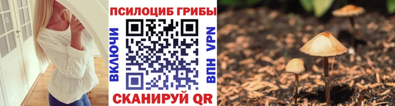 Псилоцибиновые грибы MAGIC MUSHROOMS  Купить закладки  Апатиты 